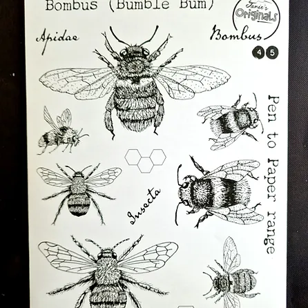 Bombus (Bumble Bum) A5 stamp set